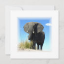 Pesquisar por elefante africano convites Animal