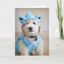 Pesquisar por costumes cartoes Puppy