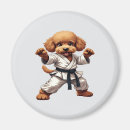 Pesquisar por karate do imas Kung fu