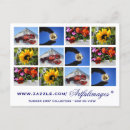 Pesquisar por lobster cartoes postais Photography