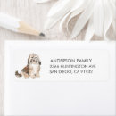 Pesquisar por etiquetas endereco retorno Aquarela