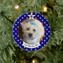 Pesquisar por azul branco vermelho ornamentos Modelo