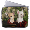 Pesquisar por jovem corça laptop sleeves 7 semanas