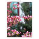 Pesquisar por dogwood cor de rosa Qualquer pessoa