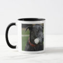 Pesquisar por great dane canecas Canino
