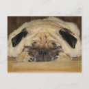 Pesquisar por gravação cartoes postais Qualquer pessoa