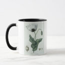 Pesquisar por papaver Plantas