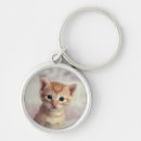 Pesquisar por gatinho chaveiros Dia
