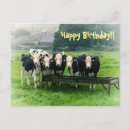 Pesquisar por vaca cartoes Fofofo