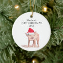 Pesquisar por suínos ornamentos Animais de criação