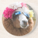 Pesquisar por alpaca porta copos Animal