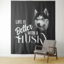 Pesquisar por rouco siberian fotografia Husky siberiano
