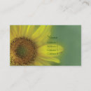 Pesquisar por foto do girassol cartao de visita Flor