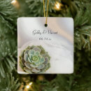 Pesquisar por plantas verdes ornamentos Elegante