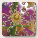 Pesquisar por macro de porta copos Jardim