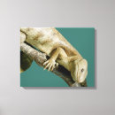 Pesquisar por arte réptil impressão de canvas Lagarto