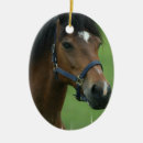 Pesquisar por cavalo árabe ornamentos Cavalos árabes