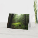 Pesquisar por woods cartoes Forest