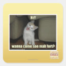 Pesquisar por mah adesivos Posso ter cheezburger