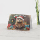 Pesquisar por christams Para todos