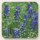 Pesquisar por adam porta copos Flor