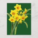 Pesquisar por redoute cartoes postais Flores