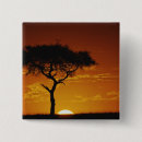 Pesquisar por árvore silhueta botons África