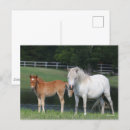 Pesquisar por bob cartoes postais Lago