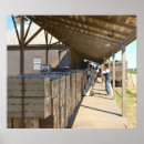 Pesquisar por papel de embalagem de pôsteres pósteres Qualquer pessoa