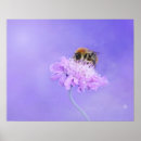 Pesquisar por poster com flores roxas pôsteres pósteres Lilac