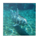 Pesquisar por golfinho na azulejos Litoral