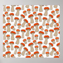 Pesquisar por cogumelos vermelhos pôsteres pósteres Natureza