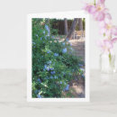 Pesquisar por florista cartoes Qualquer pessoa