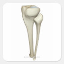 Pesquisar por pessoas pequenas adesivos Parte do corpo humano