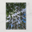 Pesquisar por verde floresta cartoes postais Viagem
