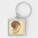 Pesquisar por concha chaveiros Oceano