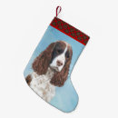 Pesquisar por espanhol meias de natal Cão