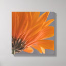 Pesquisar por alaranjadas da flor impressão de canvas Qualquer pessoa