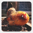 Pesquisar por galinha vermelha adesivos Fazenda