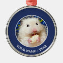 Pesquisar por sementes ornamentos Fotografia