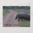 Pesquisar por jam cartoes postais Engarrafamento