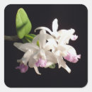Pesquisar por orquídeas adesivos Jardim