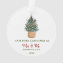 Pesquisar por pine cone ornamentos Inverno