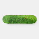 Pesquisar por grama verde skates Natureza