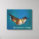 Pesquisar por observador pássaro impressão de canvas Beija flor