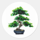 Pesquisar por bonsai adesivos Asiático