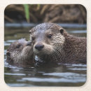 Pesquisar por otter porta copos Lontra