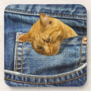 Pesquisar por jeans porta copos Animal