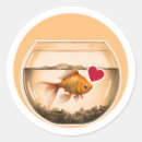 Pesquisar por goldfish adesivos Desenho animado