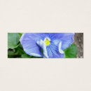 Pesquisar por amor perfeito azul Flor